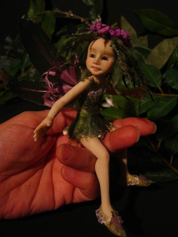 Fairy Fae Alga